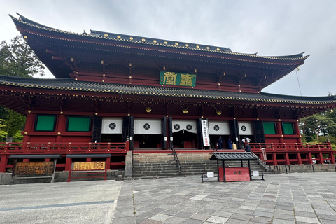 Tokyo: 3-Day Nikko, Tokyo, and Mt. Fuji SightSeeing Tour