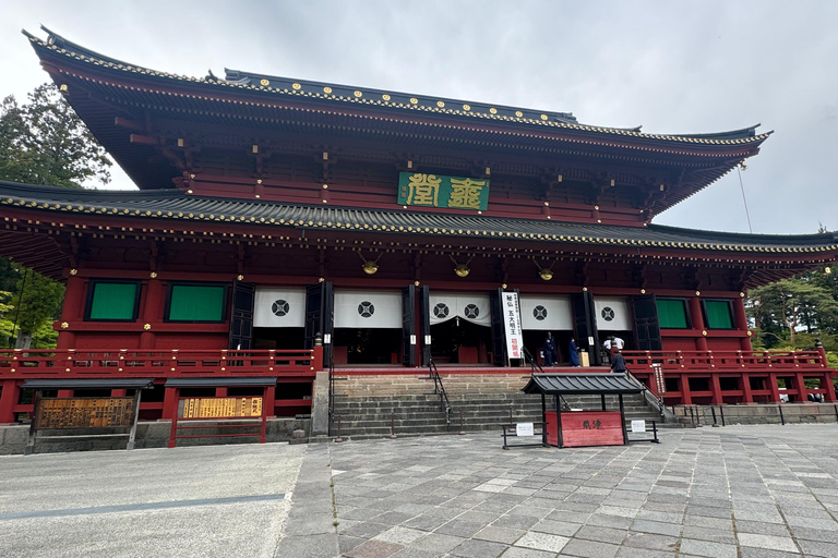 Tokyo: 3-Day Nikko, Tokyo, and Mt. Fuji SightSeeing Tour