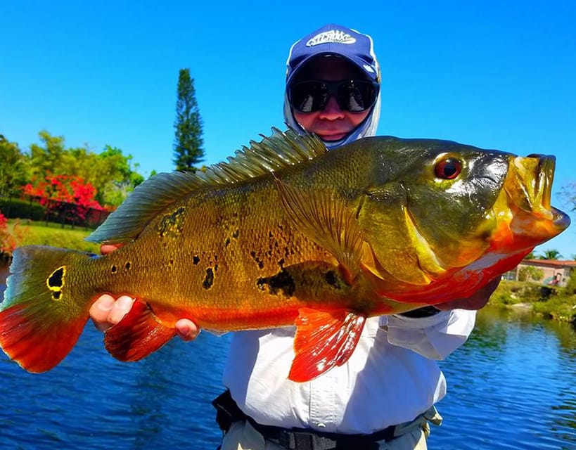 Miami: Peacock Bass Fishing Trip