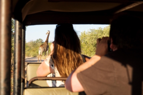 Au départ de Johannesburg : Safari de luxe de 4 jours dans le parc national KrugerTransfert depuis l'aéroport O.R. Tambo
