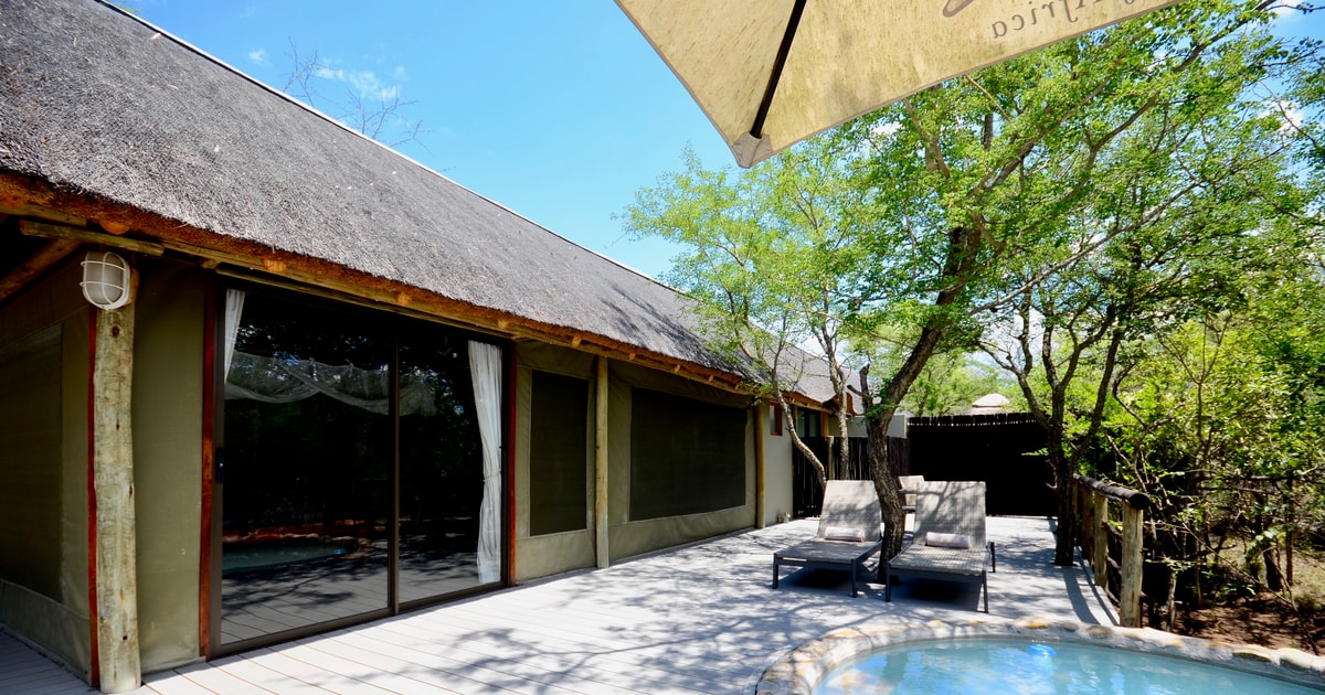 From Johannesburg Kruger National Park 4Day Luxury Safari GetYourGuide