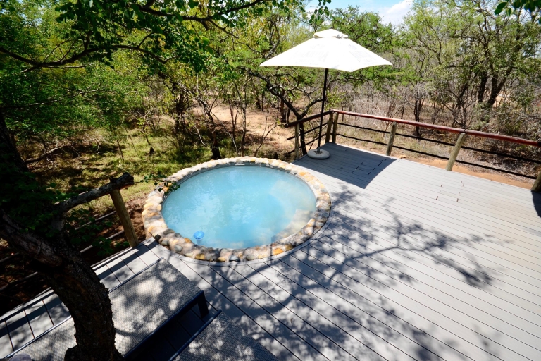 From Johannesburg: Kruger National Park 4-Day Luxury Safari Transfer from the O.R. Tambo Airport