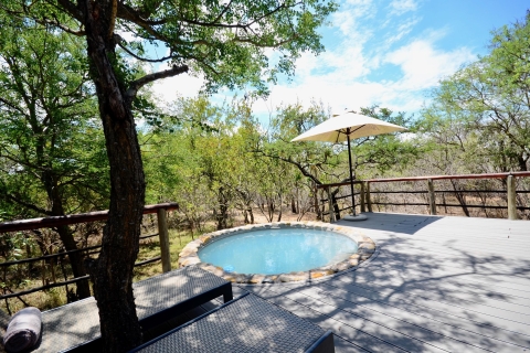 Au départ de Johannesburg : Safari de luxe de 4 jours dans le parc national KrugerTransfert depuis l'aéroport O.R. Tambo