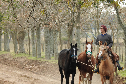 Desde Buenos Aires: Gaucho y Rancho en San Antonio de Areco