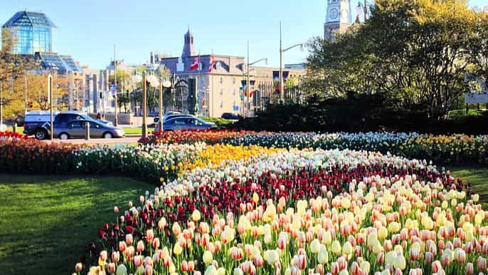 montreal private day tour to ottawa
