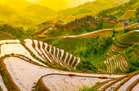 Guilin Longji Terraces Private Day Tour - Housity