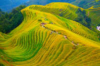 Guilin Longji Terraces Private Day Tour - Housity