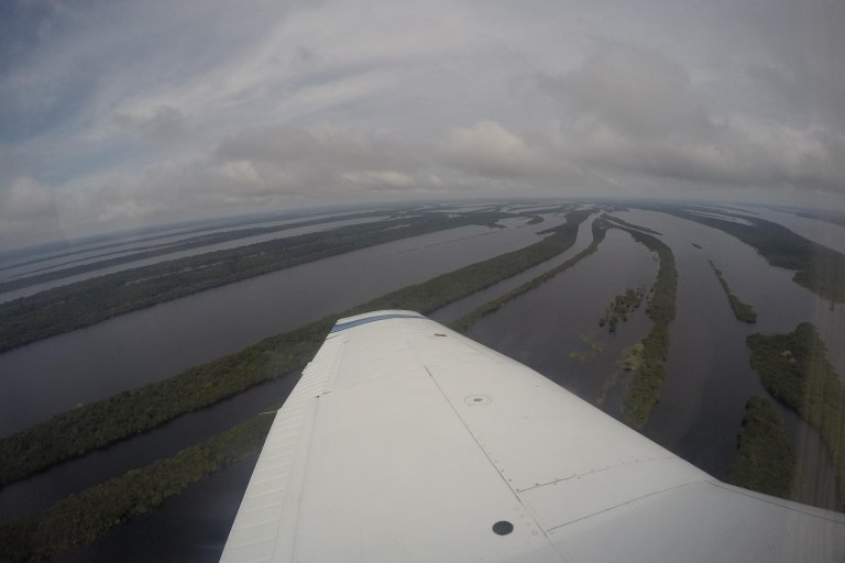 Manaus: Vuelo en avión panorámico de la selva amazónicaVuelo en la selva amazónica de 30 minutos para hasta 4 personas