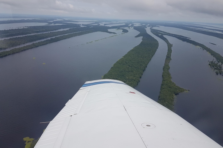 Manaus: Vuelo en avión panorámico de la selva amazónicaVuelo en la selva amazónica de 30 minutos para hasta 4 personas