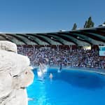 Riccione: Biglietto d'ingresso al Parco Oltremare