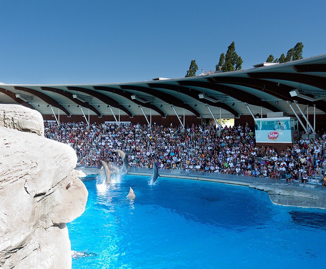 Riccione: Eintrittskarte für den Oltremare Park