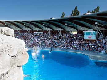 Riccione: Biglietto d'ingresso al Parco Oltremare
