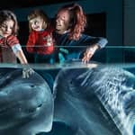 Biglietto d'ingresso all'Acquario di Cattolica