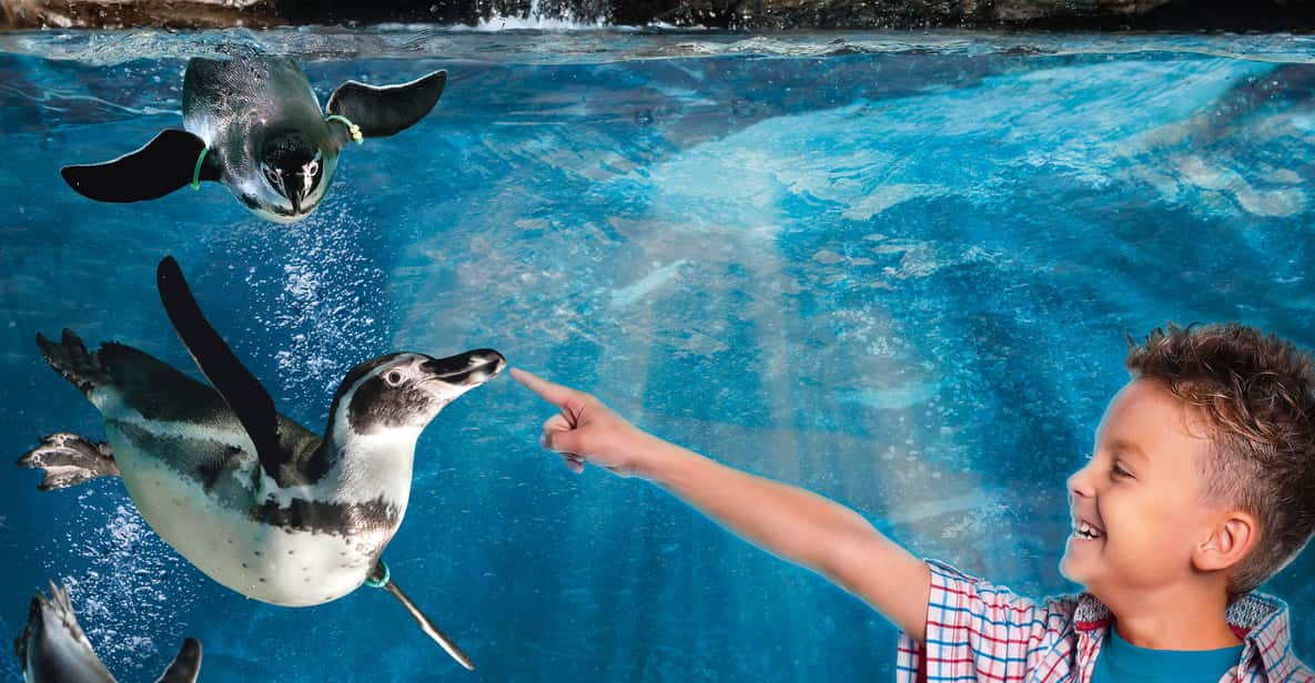 Aquarium of Cattolica Entry Ticket