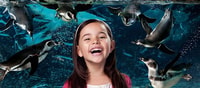 Aquarium of Cattolica Entry Ticket - Housity