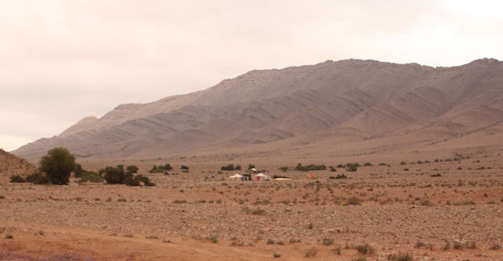 2-Day Desert Trip to El Borj - Housity