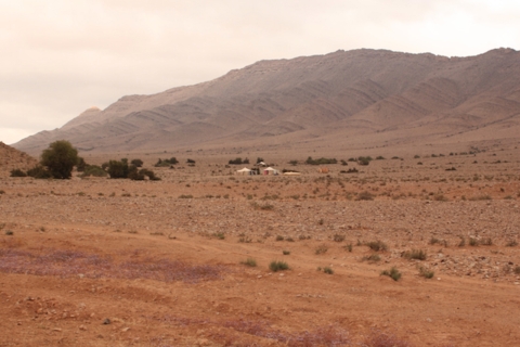 2-daagse woestijnreis naar El BorjStandaard Optie
