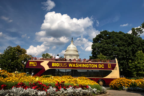 Washington DC: Big Bus Hop-On Hop-Off Sightseeing Tour