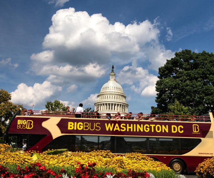 DC: Hop-On Hop-Off Sightseeing Tour with Optional Cruise