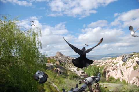 Cappadocia Highlights Tour with Lunch