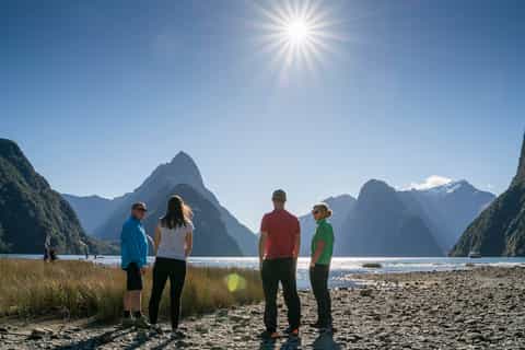 From Te Anau: Milford Sound Coach, Cruise and Walk