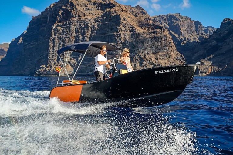 Live the ocean without license and discover Los Gigantes 2 hr live the ocean be the captain and discover Los Gigantes