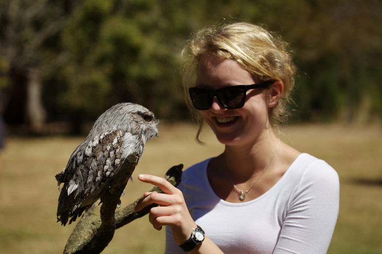 From Hobart: Port Arthur and Tasmanian Devil Unzoo Day Tour