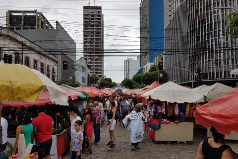 Manaus: Halbtages-Stadtrundfahrt