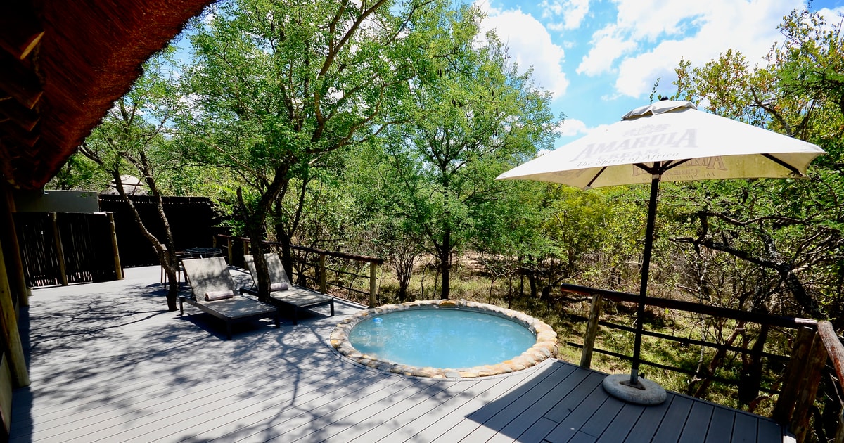Van Johannesburg Kruger National Park 5daagse luxe safari GetYourGuide