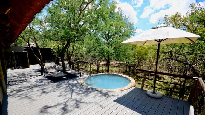 from johannesburg kruger national park 5day luxury safari