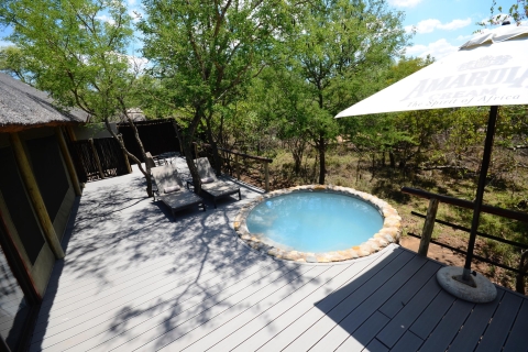 Johannesburgo: Safari de lujo de 6 días por el Parque Nacional KrugerRecogida en hotel en Johannesburgo