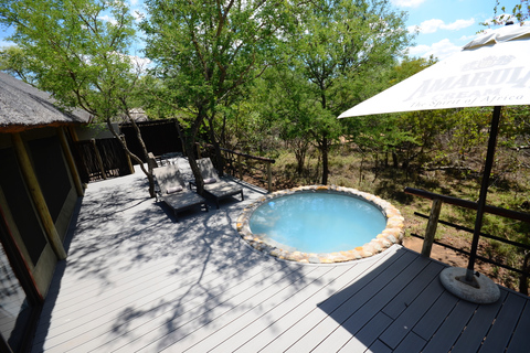 Johannesburg: 6-Day Luxury Kruger National Park Safari Pickup from O. R. Tambo International Airport