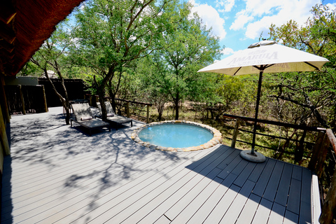 Johannesburg: 6-Day Luxury Kruger National Park Safari Hotel Pickup in Johannesburg