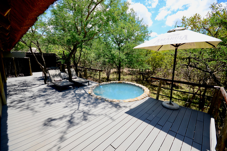 Johannesburg: 6-Day Luxury Kruger National Park Safari Hotel Pickup in Johannesburg