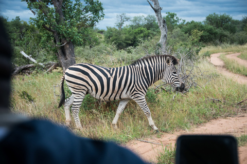 Johannesburgo: Safari de lujo de 6 días por el Parque Nacional KrugerRecogida en hotel en Johannesburgo