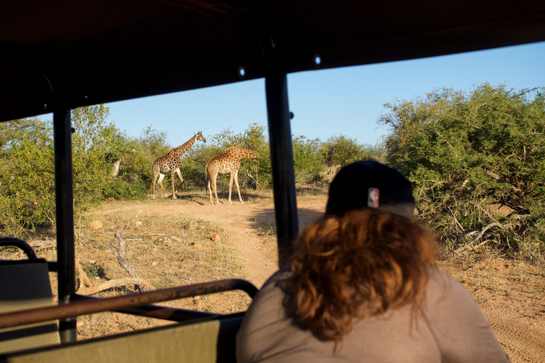 Johannesburgo: Safari de lujo de 6 días por el Parque Nacional KrugerRecogida en hotel en Johannesburgo