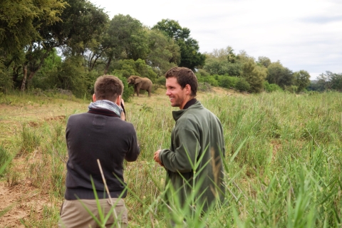 Johannesburgo: Safari clásico de 5 días por el Parque Nacional KrugerRecogida en hotel en Johannesburgo