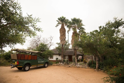 Johannesburg : Safari classique de 5 jours dans le parc national KrugerPrise en charge des hôtels à Johannesburg