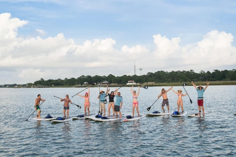 Charleston: Folly Beach Stand Up Paddleboard Dolphin Safari Morning Stand Up Paddleboard Dolphin Safari