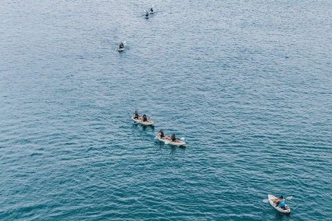 La Jolla : kayak dans les grottes marines avec un guide