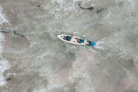 La Jolla: tour guiado en kayak por cueva marina de 90 minLa Jolla: tour en kayak doble por cueva marina (90 min)