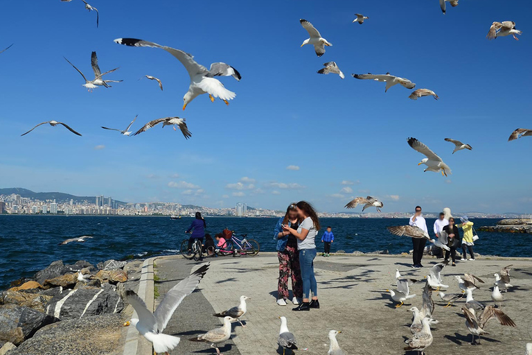 Istanbul: Färjebiljetter tur och retur till Princes&#039; Islands