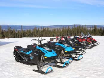 Fairbanks: 1 Stunde Schneemobil-Abenteuer Fairbanks: 1 Stunde Schneemobil-Abenteuer