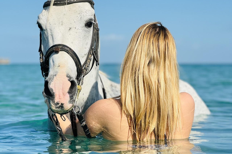 الغردقة: جولة ركوب الخيل في الصحراء والبحر مع خيار السباحةجولة لمدة ساعتين لركوب الخيل بدون السباح