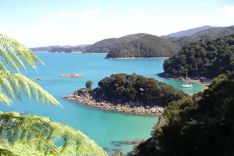 Abel Tasman National Park: Day Sailing Adventure with Lunch