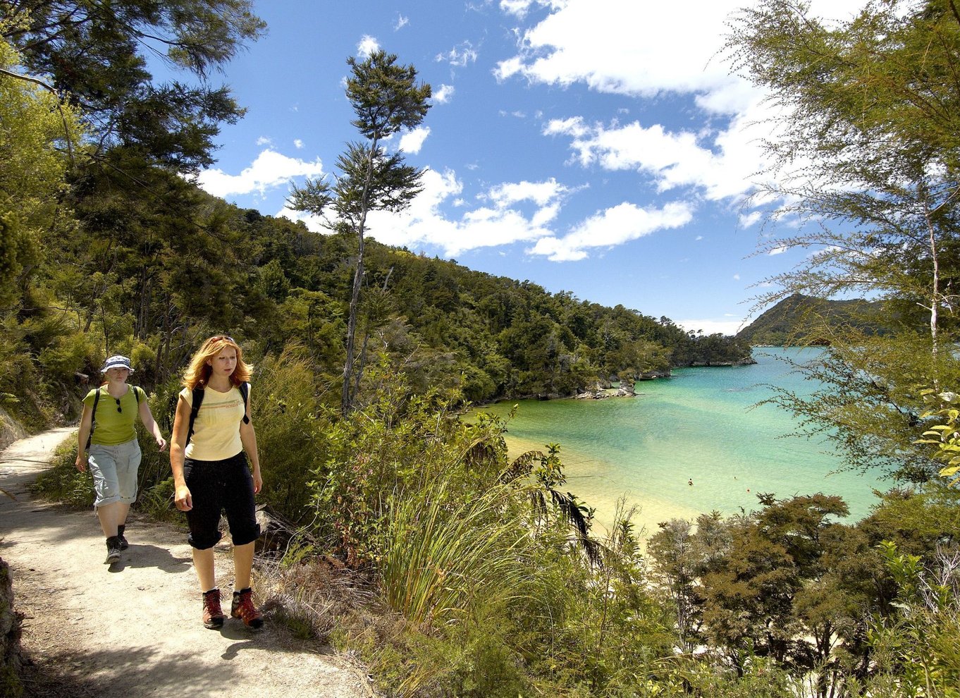 Abel Tasman National Park: Sejlads og guidet gåtur på egen hånd