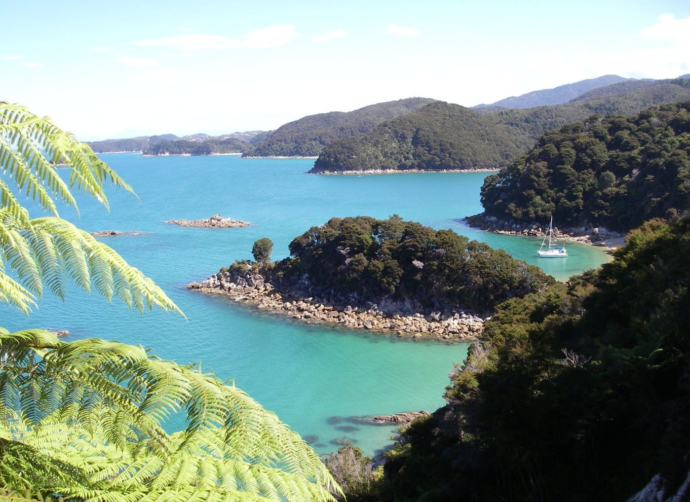 Abel Tasman National Park: Sejlads og guidet gåtur på egen hånd