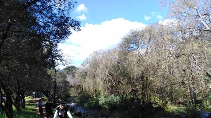 stellenbosch ebike wine farm tour