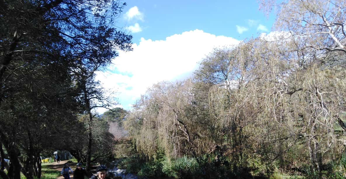 Stellenbosch EBike 2.5Hr Wine Farm Tour GetYourGuide