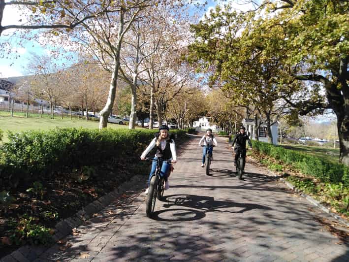 Stellenbosch EBike 2.5Hr Wine Farm Tour GetYourGuide